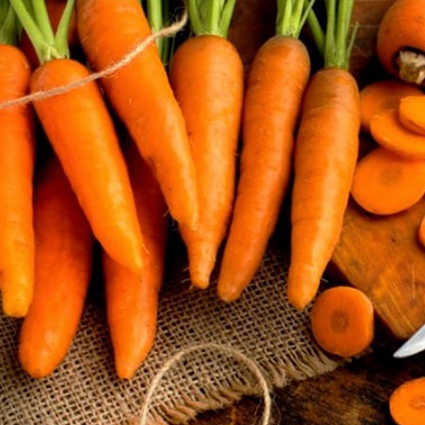 فواید هویج بخارپز از خواص هویج پخته بیشتر است؟ |خواص| ارماطب