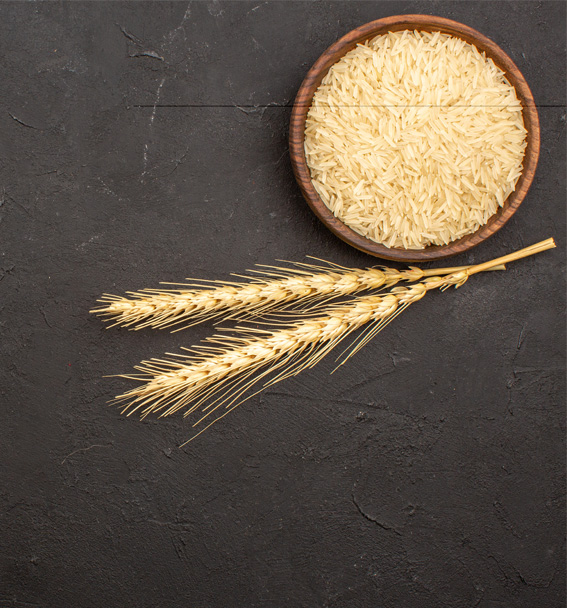 برنج و نان در رژیم غذایی | خواص، عوارض، تاثیرات 